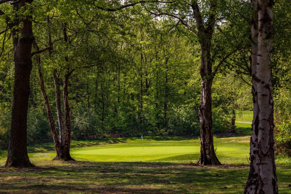 Waterlooville Golf Club as recommended by Your Golfer Magazine