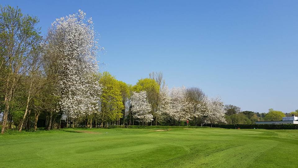 Bury St Edmunds Golf Club as recommended by your golfer magazine