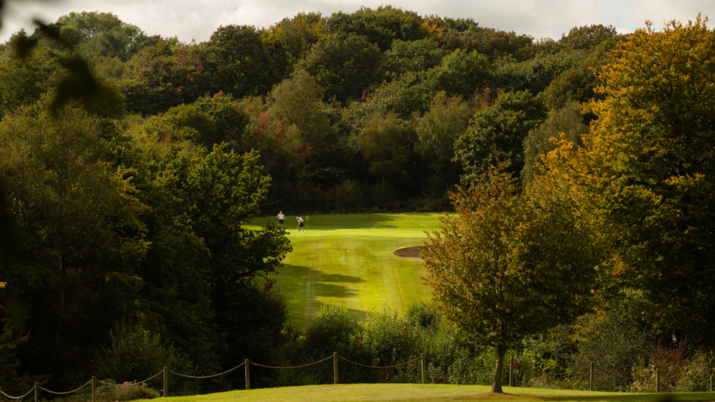 Dale Hill golf Club as recommended by Your Golfer Magazine