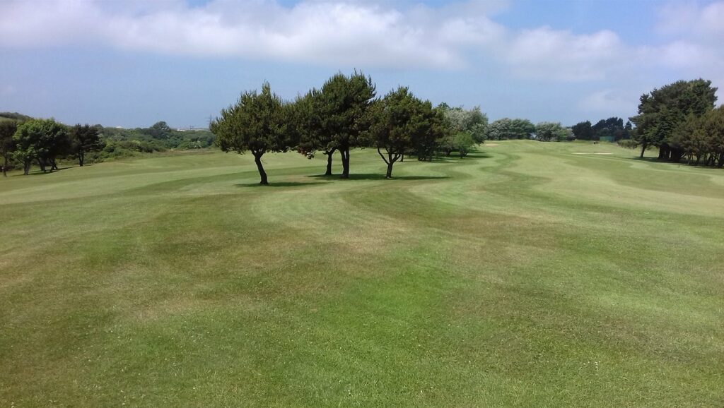 Milford Haven Golf Club - as recommended by Your Golfer Magazine - main pic