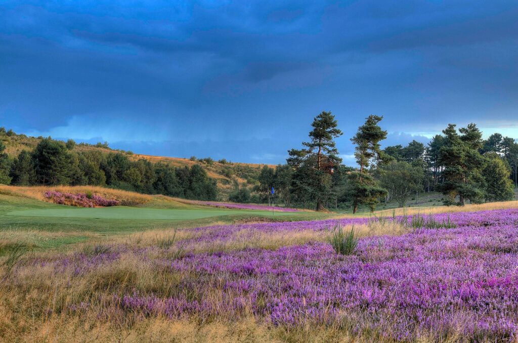 Sherwood Forest Golf Club - as recommended by Your Golfer Magazine - main pic